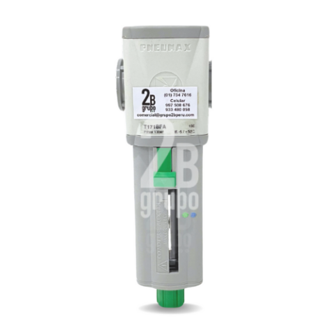 FILTRO DE AIRE AIRPLUS - Grupo 2B IMPORT